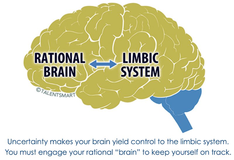 limbisch systeem